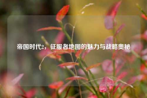 帝国时代2,征服者地图的魅力与战略奥秘