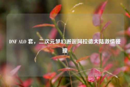 DNF ALO 套，二次元梦幻邂逅阿拉德大陆激情碰撞