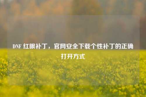 DNF 红眼补丁,官网安全下载个性补丁的正确打开方式