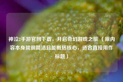 神泣2手游官网下载,开启奇幻游戏之旅 (原内容本身就很简洁且能概括核心,适合直接用作标题)