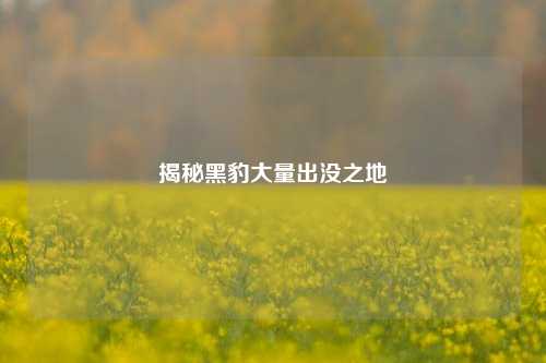 揭秘黑豹大量出没之地
