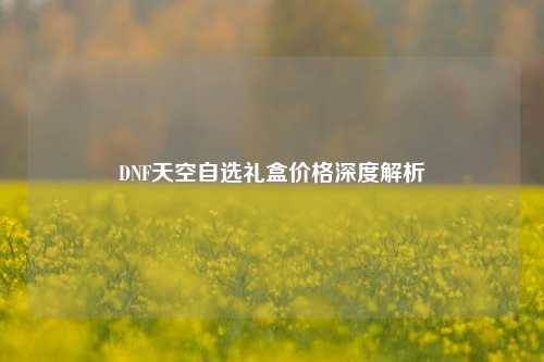 DNF天空自选礼盒价格深度解析