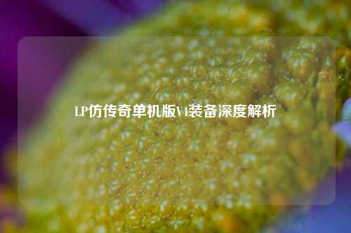 LP仿传奇单机版V4装备深度解析