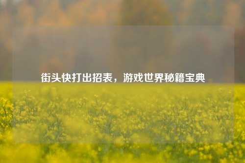 街头快打出招表,游戏世界秘籍宝典