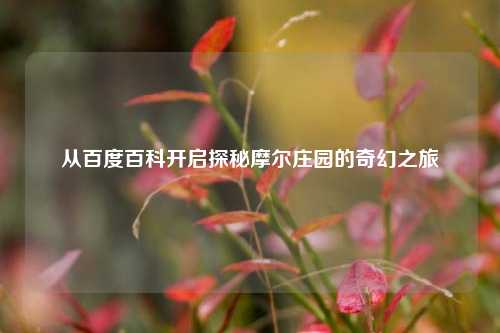 从百度百科开启探秘摩尔庄园的奇幻之旅