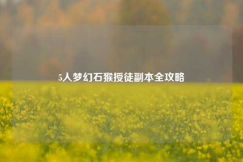 5人梦幻石猴授徒副本全攻略