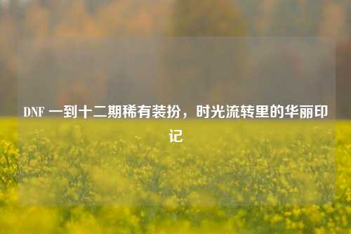 DNF 一到十二期稀有装扮,时光流转里的华丽印记