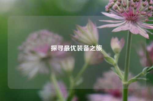 探寻最优装备之旅