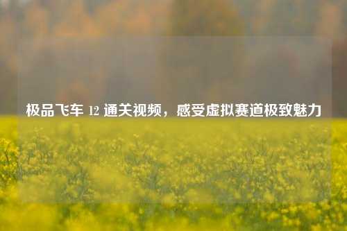 极品飞车 12 通关视频,感受虚拟赛道极致魅力