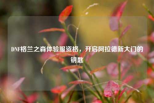 DNF格兰之森体验服资格,开启阿拉德新大门的钥匙