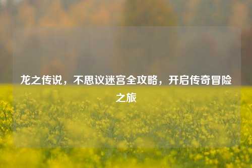 龙之传说,不思议迷宫全攻略,开启传奇冒险之旅