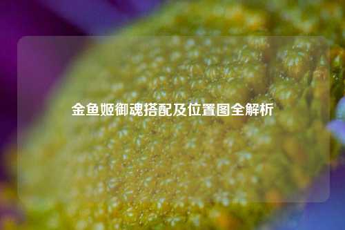 金鱼姬御魂搭配及位置图全解析