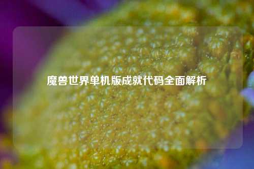 魔兽世界单机版成就代码全面解析