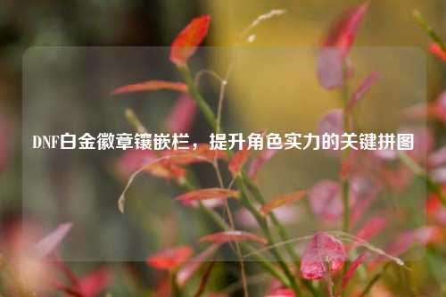 DNF白金徽章镶嵌栏，提升角色实力的关键拼图