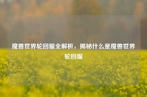 魔兽世界轮回服全解析，揭秘什么是魔兽世界轮回服