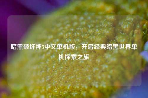 暗黑破坏神3中文单机版,开启经典暗黑世界单机探索之旅