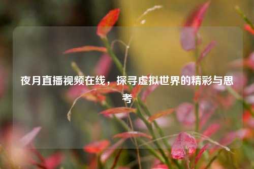 夜月直播视频在线,探寻虚拟世界的精彩与思考