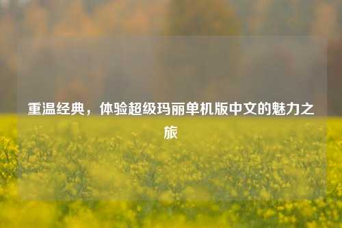 重温经典，体验超级玛丽单机版中文的魅力之旅