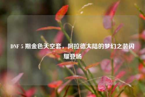 DNF 5 期金色天空套,阿拉德大陆的梦幻之装闪耀登场