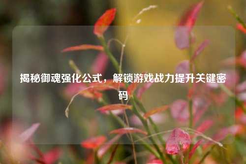 揭秘御魂强化公式，解锁游戏战力提升关键密码