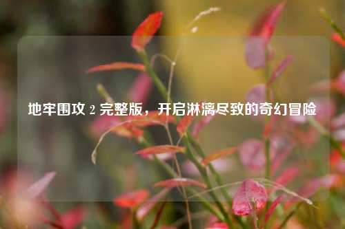地牢围攻 2 完整版,开启淋漓尽致的奇幻冒险