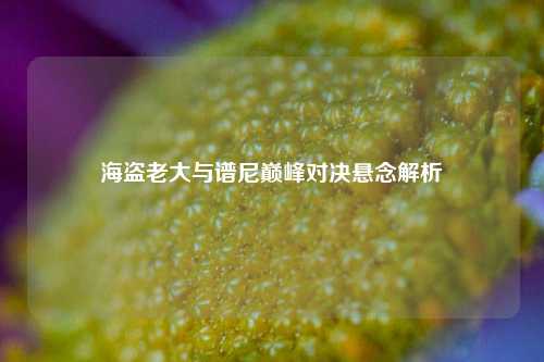 海盗老大与谱尼巅峰对决悬念解析