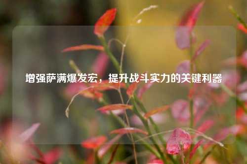 增强萨满爆发宏,提升战斗实力的关键利器
