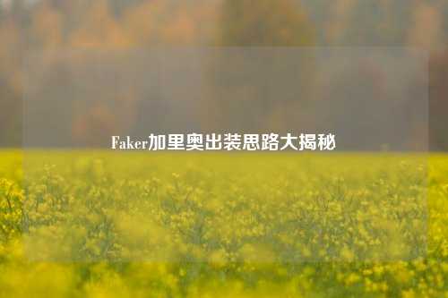 Faker加里奥出装思路大揭秘