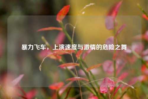暴力飞车,上演速度与激情的危险之舞