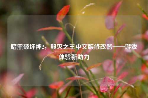 暗黑破坏神2,毁灭之王中文版修改器——游戏体验新助力