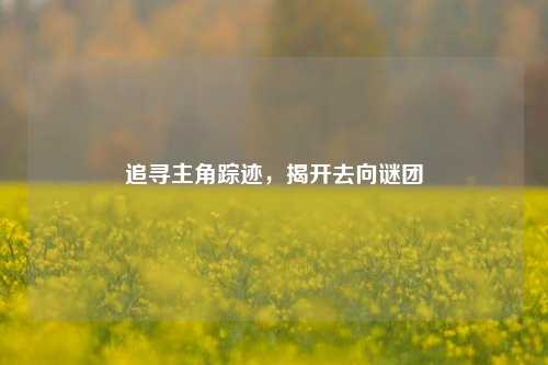 追寻主角踪迹，揭开去向谜团