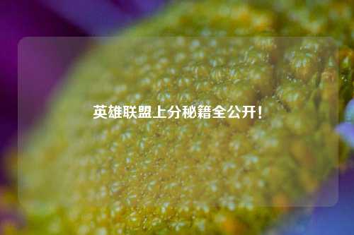 英雄联盟上分秘籍全公开!