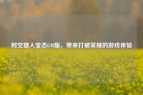 时空猎人变态GM版,带来打破常规的游戏体验