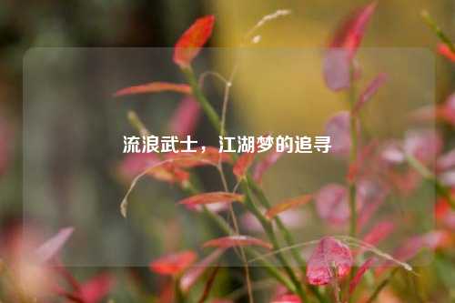 流浪武士,江湖梦的追寻