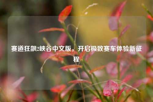 赛道狂飙2峡谷中文版,开启极致赛车体验新征程