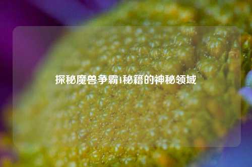 探秘魔兽争霸1秘籍的神秘领域