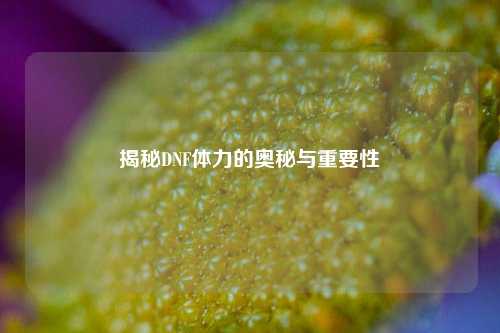 揭秘DNF体力的奥秘与重要性