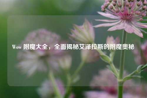Wow 附魔大全,全面揭秘艾泽拉斯的附魔奥秘