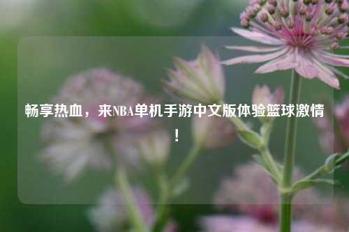 畅享热血，来NBA单机手游中文版体验篮球激情！