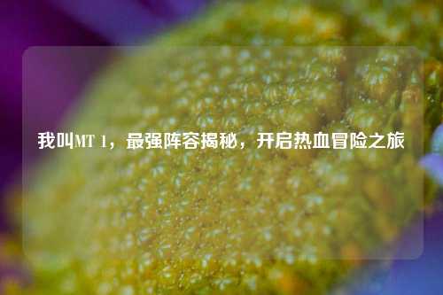 我叫MT 1,最强阵容揭秘,开启热血冒险之旅