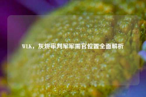 WLK,灰烬审判军军需官位置全面解析