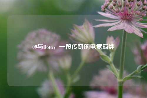 09与Dota,一段传奇的电竞羁绊