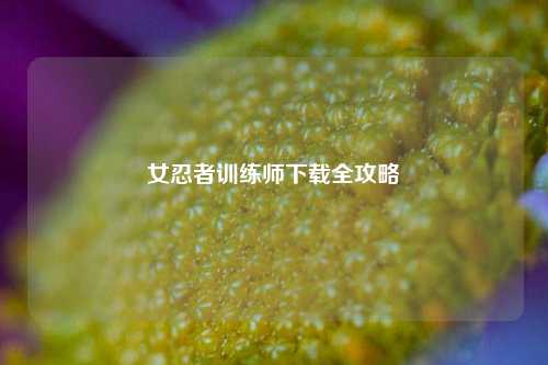 女忍者训练师下载全攻略