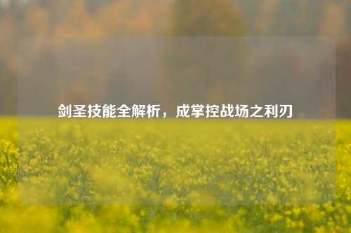 剑圣技能全解析,成掌控战场之利刃