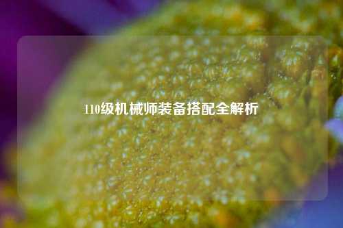 110级机械师装备搭配全解析