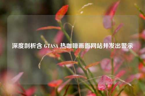 深度剖析含 GTASA 热咖啡画面网站并发出警示