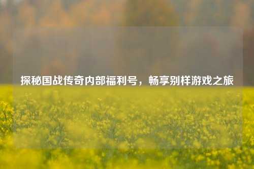 探秘国战传奇内部福利号,畅享别样游戏之旅