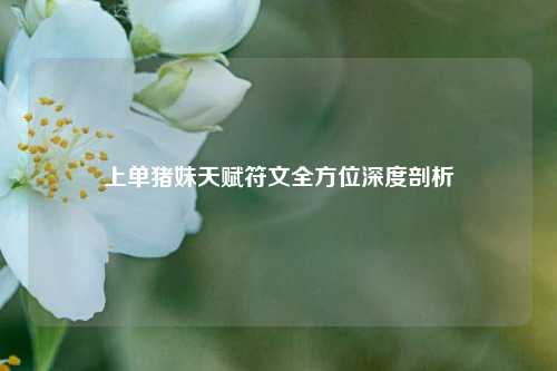 上单猪妹天赋符文全方位深度剖析