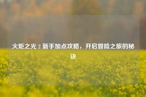 火炬之光 2 新手加点攻略,开启冒险之旅的秘诀
