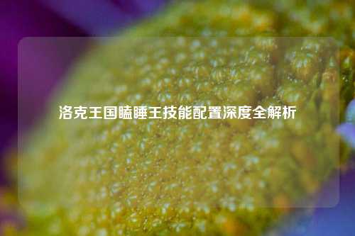 洛克王国瞌睡王技能配置深度全解析